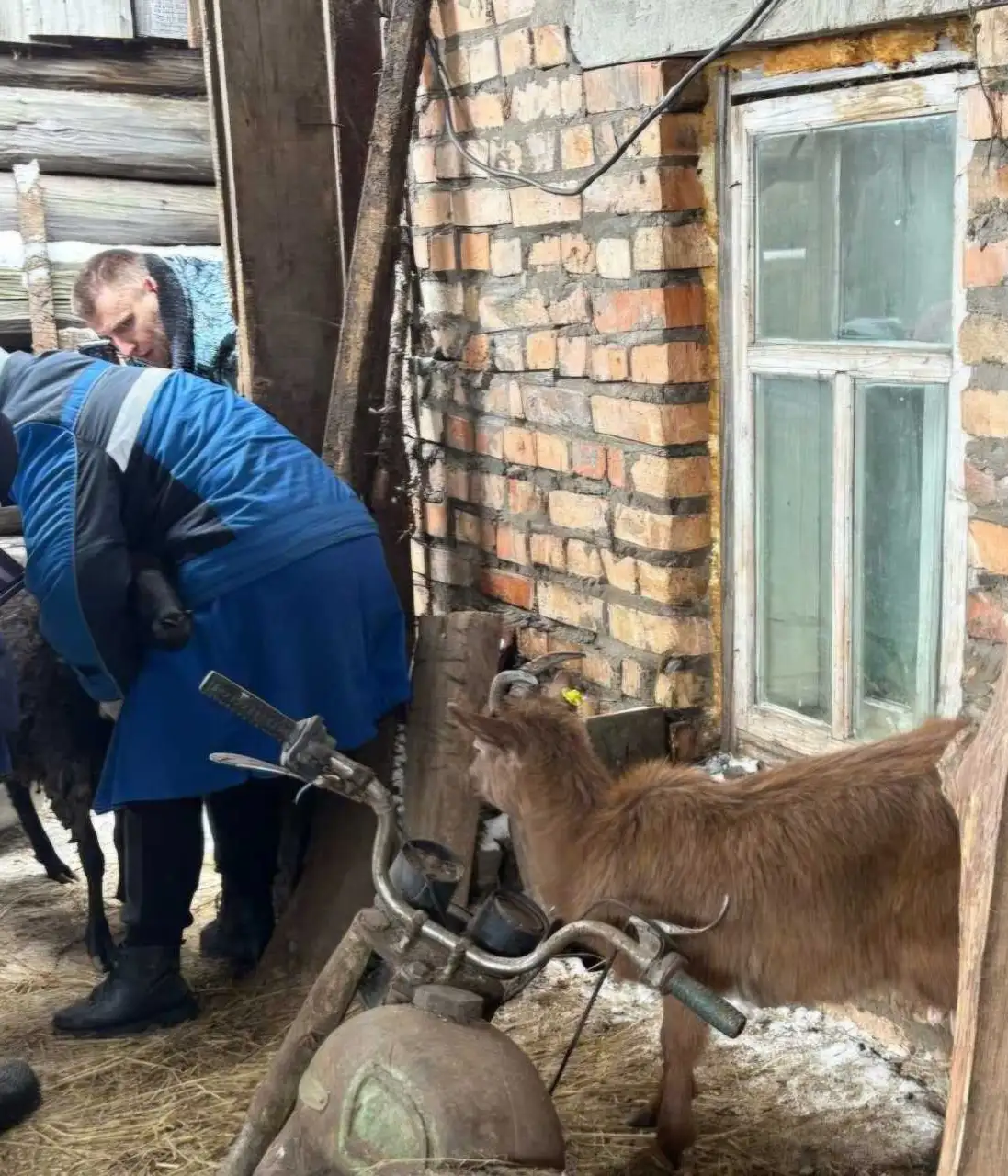 Фото: ГУФССП России по Красноярскому краю