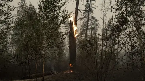 Забайкальских огнеборцев отправили на тушение лесных пожаров в Якутию