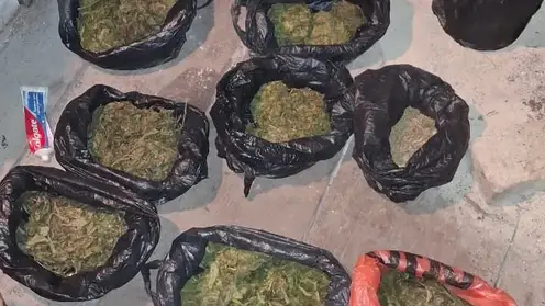 Более килограмма марихуаны изъяли у сельчанина в Красноярском края