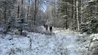 Авиация не может подняться в воздух при поисках семьи Усольцевых в Красноярском крае