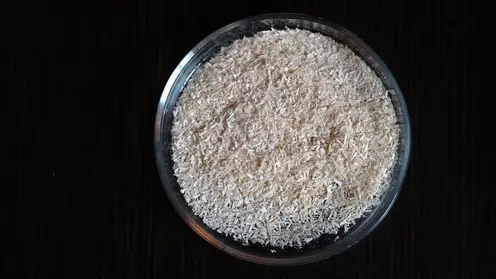 Сибирская ель поможет очистить воду от токсичных металлов