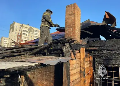 В МЧС назвали причину пожара в красноярской Николаевке