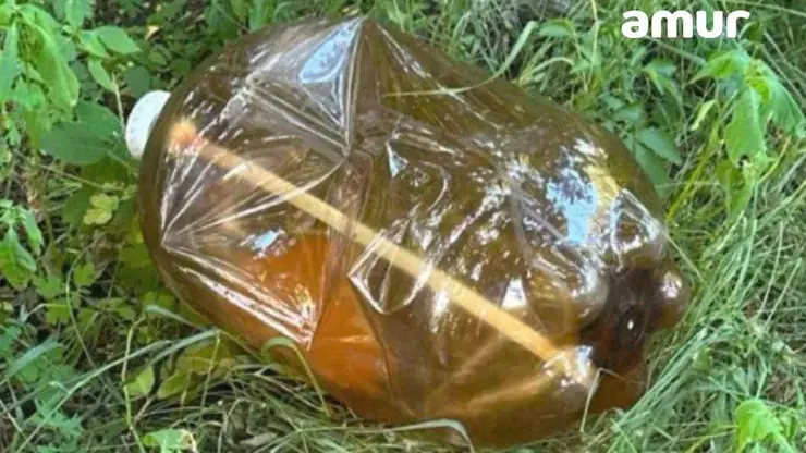 В Хабаровске 8-летний мальчик госпитализирован после взрыва пивной кеги