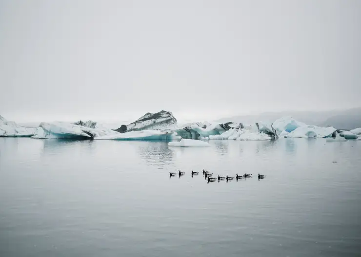 Буклет с автографом Фёдора Конюхова продают в Красноярске за миллион рублей