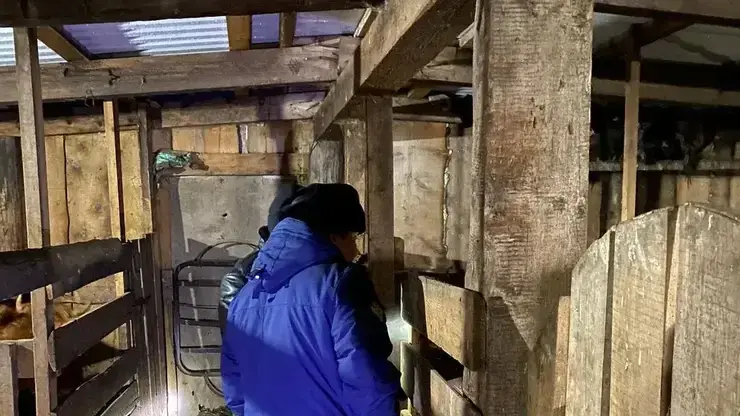 Следователь СК раскрыла детали жестокого убийства 17-летней девушки в Ушканке