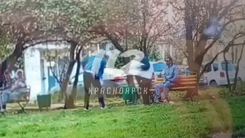 Красноярец плюнул в пенсионерку, отобрал костыль и избил ее собаку после замечания о распитии алкоголя