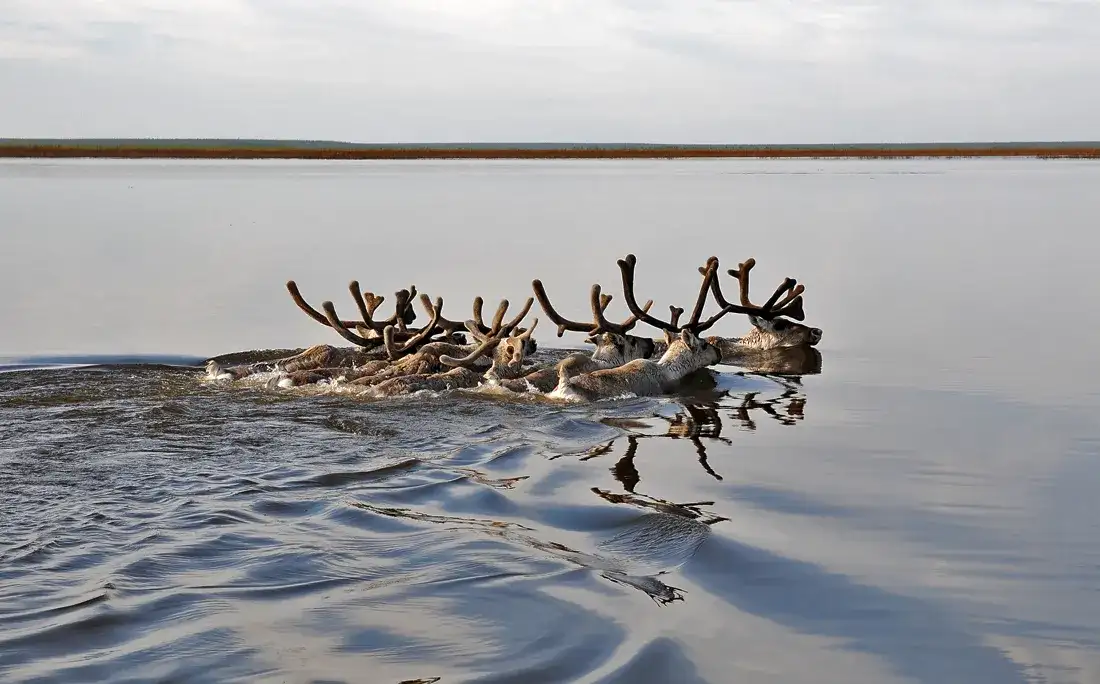 Фото: АО «Востсибнефтегаз"