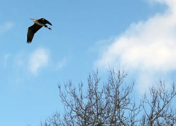 В воздухе Ачинска обнаружили превышение по диметилбензолу и метилбензолу