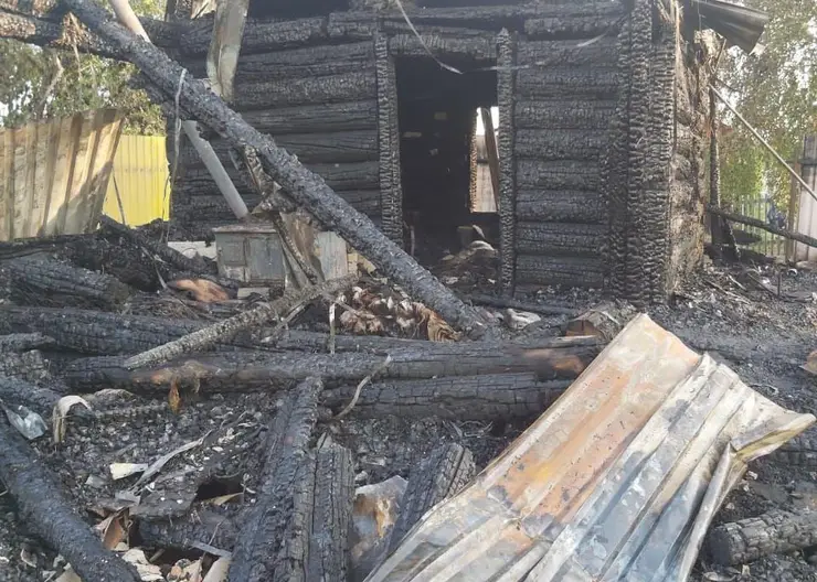 Семья с двумя детьми сгорела в дачном доме под Новосибирском
