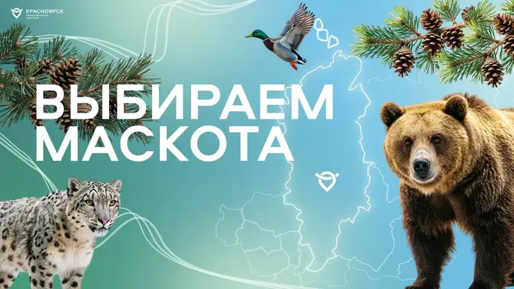 Красноярский аэропорт выбирает маскота: голосование уже открыто