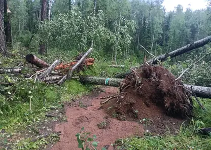 «Огромный ущерб»: на «Красноярские Столбы» обрушилась стихия