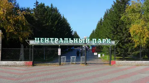 Человеческие останки нашли в Центральном парке Красноярска во время работ по реконструкции