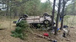 Женщина и ребёнок пострадали в ДТП в Красноярском крае