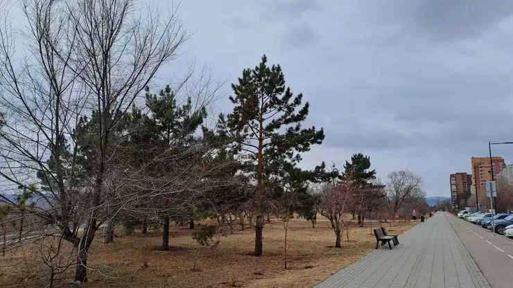 До +15 потеплеет в Красноярске в воскресенье, 5 апреля