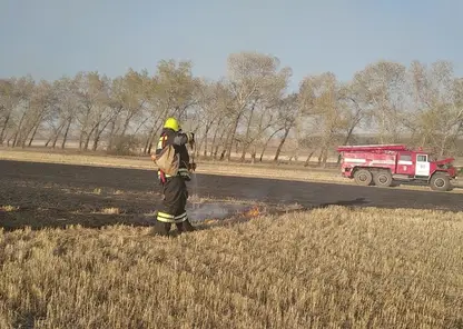 В Красноярском крае потушили четыре лесных пожара