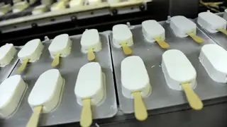 Омская область нацелена на производство палочек для мороженого и клея ПВА