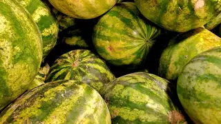 Житель Алтайского края с бензопилой гонялся за продавцом фруктов из-за некачественного арбуза