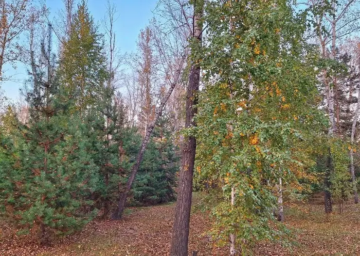 Приморье потратит почти 1,3 миллиарда на борьбу с природными пожарами в 2026 году