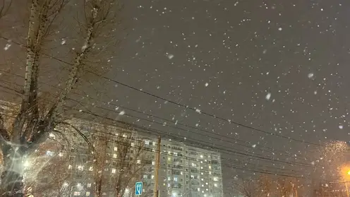 Пасмурная и влажная погода ожидается в субботу, 27 декабря