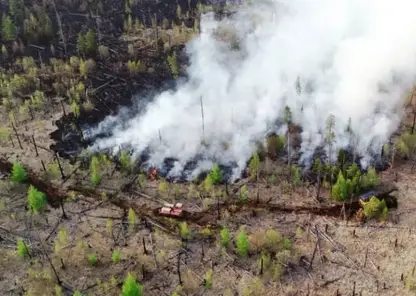 Огнеборцы за сутки ликвидировали девять лесных пожаров в Хабаровском крае