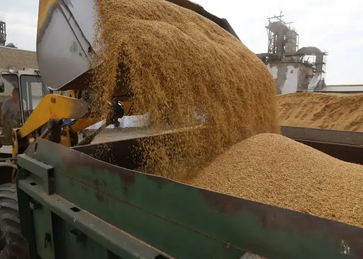 Около 316 тысяч тонн продукции АПК с начала этого года экспортировали из Красноярского края