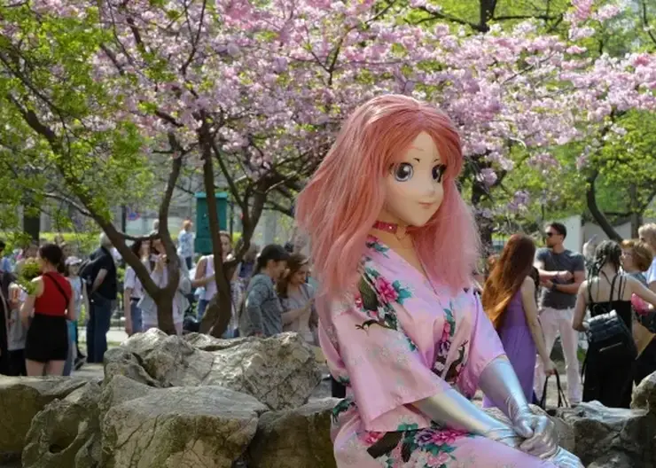 Красноярский психолог требует запретить аниме-фигурки даже в «пристойных» позах