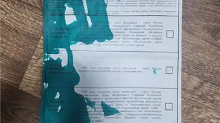 Жительницу Красноярского края отправили на исправительные работы за попытку испортить зеленкой бюллетени на выборах
