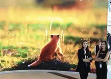 ВТБ и Фонд защитников природы реализуют проекты в Красноярском крае, Бурятии и Хакасии и других регионах