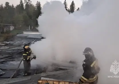 14 пожаров потушили в Красноярском крае за минувшие сутки