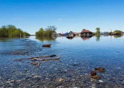 В Омской области затоплено около 550 жилых домов