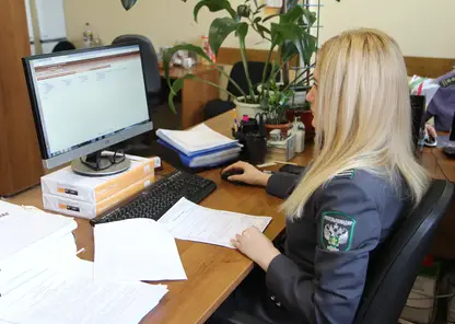 Деликатес из мраморной говядины доставили в Красноярск из Москвы за полтора часа