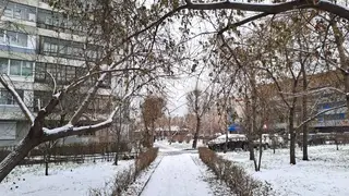 До -9 похолодает в Красноярске 7 ноября