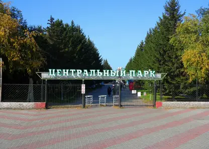 Человеческие останки нашли в Центральном парке Красноярска во время работ по реконструкции