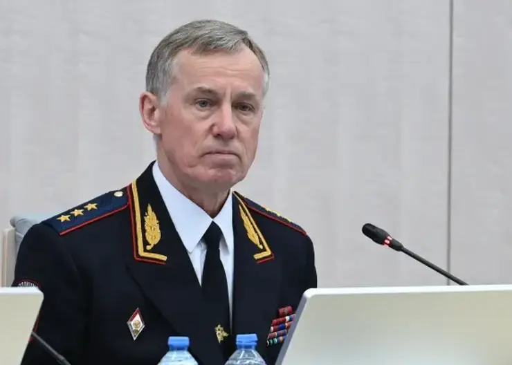 Красноярец Александр Горовой покинул пост первого замглавы МВД России