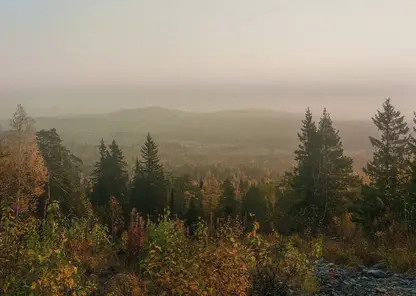 Семья туристов пропала в Красноярском крае: возбуждено уголовное дело