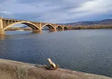 Пасмурная и прохладная погода ожидается в Красноярске 20 апреля