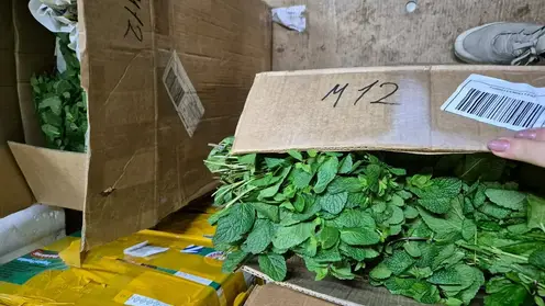 В аэропорту Красноярска проверили 14 420 цветов