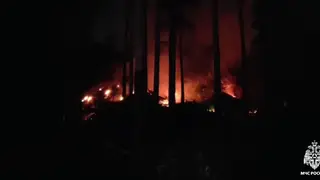 Пожар произошел в зоопарке Новосибирска: 5 животных погибли Пожар произошел в зоопарке Новосибирска: 5 животных погибли