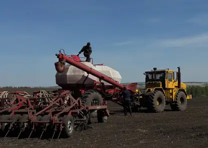 В Красноярском крае аграрии приступили к весеннему севу на две недели позже обычного