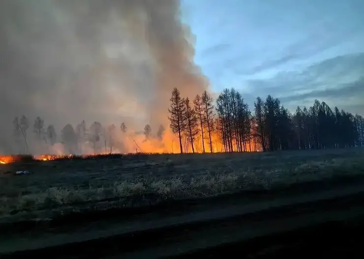Режим ЧС ввели в Туве из-за лесных пожаров