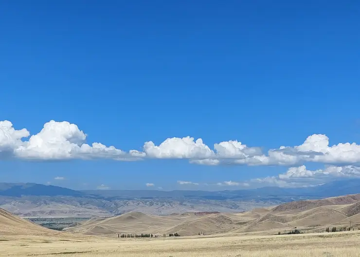 Археологи «Большого Алтая» впервые начнут раскопки в Кыргызстане