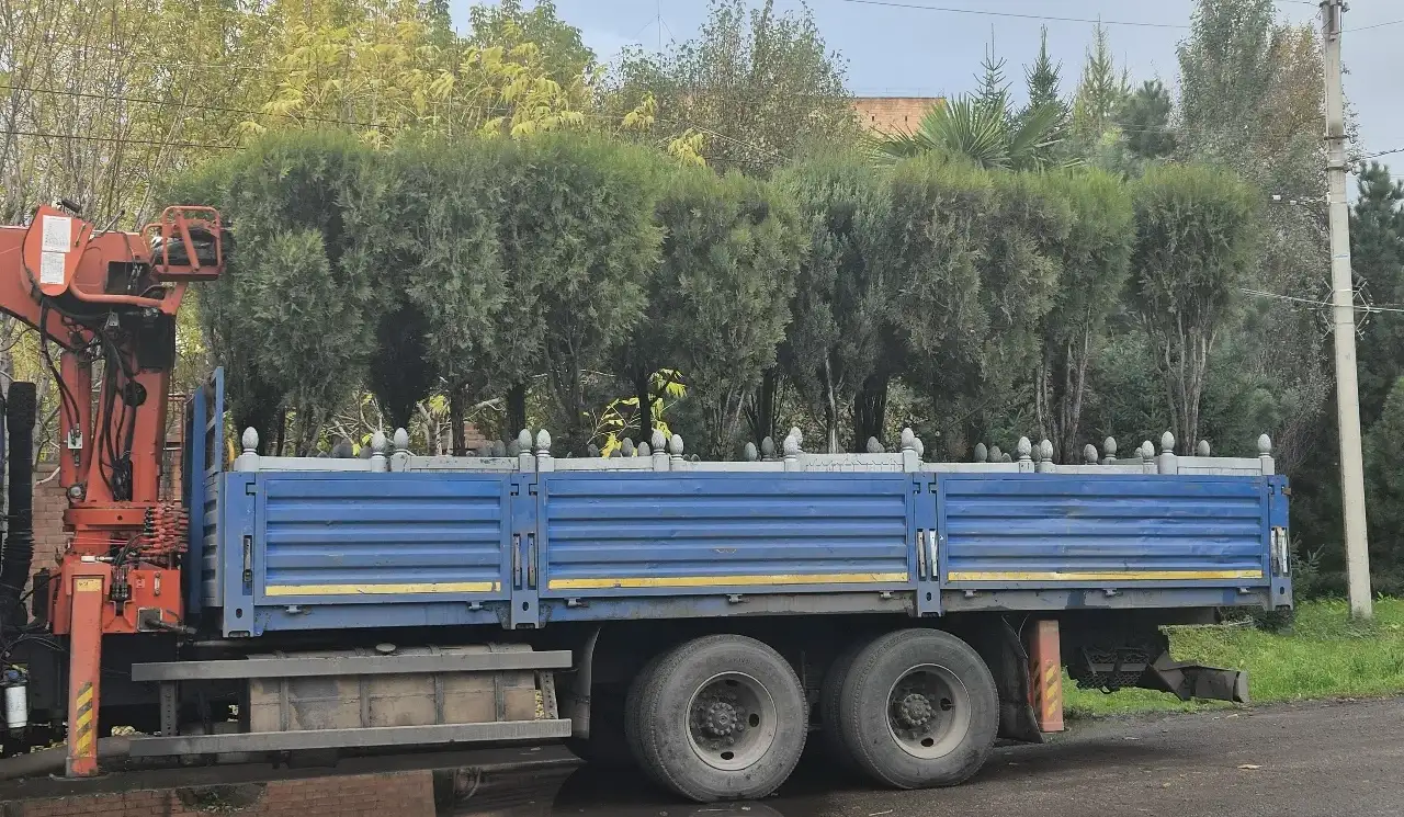 Фото: Управление зелёного строительства