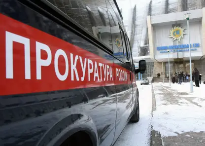 В Красноярском крае телевизор насмерть придавил 2-летнюю девочку