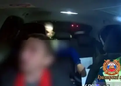 В Лесосибирске пьяные родители перевозили малышей в машине – детей забрали органы опеки