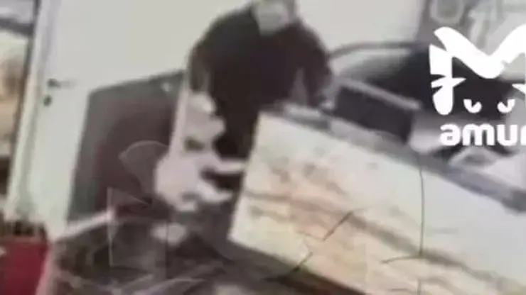 В Хабаровске хозяин жестоко избил собаку в элитном ЖК из-за лужи