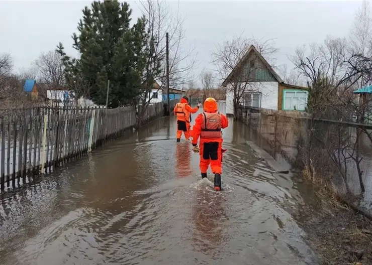 Чулым затопил несколько дачных участков в Ачинске