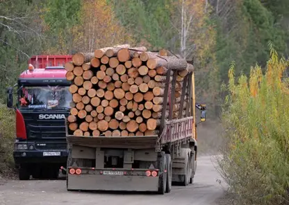 Предприниматель из Красноярского края незаконно вывез леса на 9 миллионов рублей