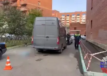 В Красноярске возбуждено уголовное дело по факту гибели 3-летнего мальчика в ДТП