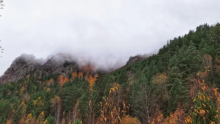 Опять +5. Холодный фронт накрыл Красноярск