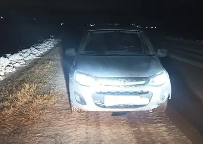 Женщина за рулем «Лады» сбила насмерть пешехода в Новосибирской области